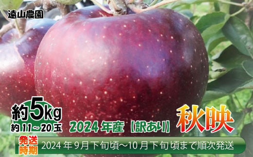 [No.5657-3218]【先行予約】2024年産【訳あり品】秋映 約5kg（約11～20玉）《遠山農園》■2024年発送■※9月下旬頃～10月下旬頃まで順次発送予定 1060560 - 長野県須坂市