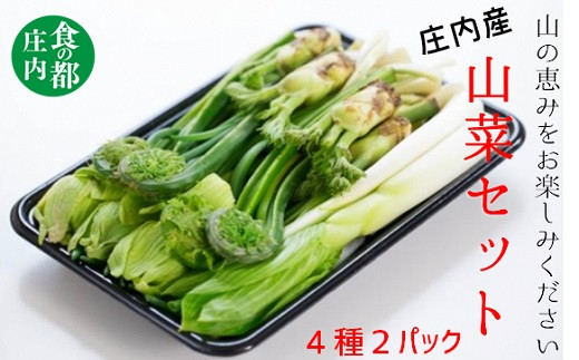 食の都庄内 庄内産季節の山菜セット(4種2パック)