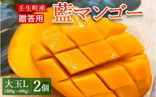 《贈答用》壬生町産藍マンゴー 大玉L（300g～400g）2個 マンゴー フルーツ 果物 くだもの 国産 栃木県 壬生町※2024年7月中旬頃より順次発送予定※北海道・沖縄・離島への配送不可※着日指定不可 1151739 - 栃木県壬生町