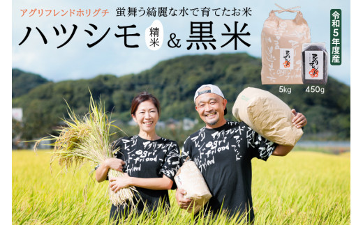 令和5年度産】蛍舞う綺麗な水で育てた岐阜県の幻のお米 有機肥料