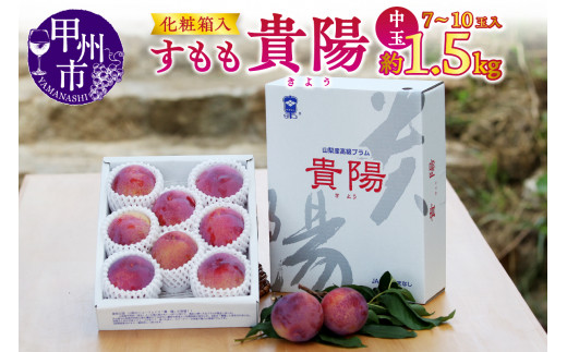 宿沢フルーツ農園】すもも『貴陽』約1.5kg 化粧箱中玉(7～10玉)【2024年発送】（SF）B12-143 山梨県甲州市｜ふるさとチョイス  ふるさと納税サイト