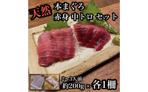 貴重な天然本鮪 赤身 約200g 中トロ 約200g 各1柵 2〜3人前●赤身はマグロの中心部天身を使用！中とろの脂はくどくない上質な脂！【赤身 天身  惣菜 海鮮 お取り寄せ 御中元 お中元 お歳暮 父の日 母の日 贈り物 日本酒 焼酎】【神奈川県小田原市早川】|有限会社 小田原タウンサービス ...