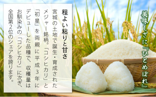 【3ヶ月定期便】【令和5年産新米】利府町産ひとめぼれ 計30kg（5kg×2袋×全3回）【04406-0464】