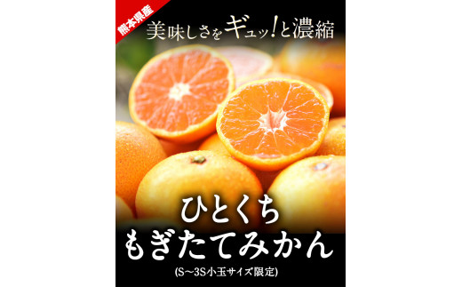 予約販売品 熊本産早生みかん肥のあすか小玉サイズ10kg navis.co.jp