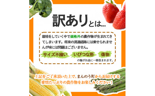 先行予約！2024年6月下旬以降順次発送予定＞ ＜訳あり＞ハウス小原紅