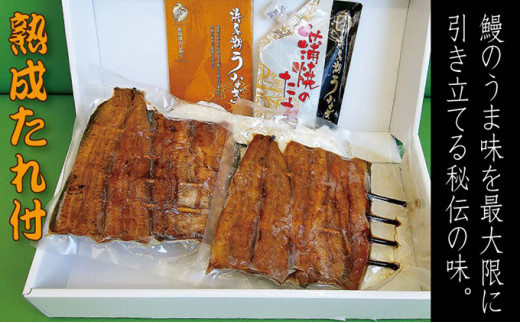 浜名湖うなぎ串蒲焼 2串入【配送不可：離島】[№5786-3427] - 静岡県