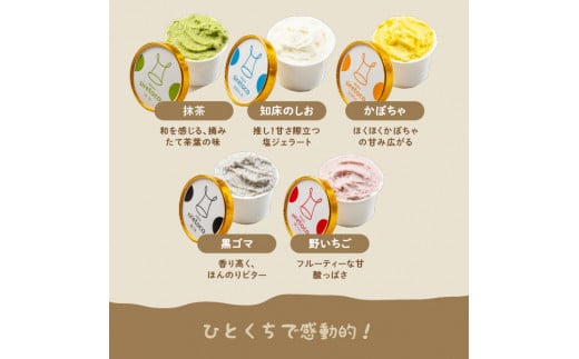 北海道感動カップジェラート 12個セット - 北海道中標津の新鮮ミルクを贅沢に使用