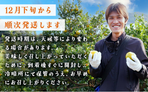 高知県東洋町のふるさと納税 【先行予約】訳ありポンカン　サイズおまかせ　5kg　NT6