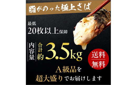 【訳あり】 トロ 塩サバ フィレ3.5kg 塩鯖 美味しいさば 魚 海鮮 家庭用 おかず 規格外 飯田商店 千葉 銚子