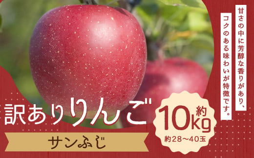 訳あり りんご （サンふじ） 約10kg／ リンゴ 林檎 フルーツ くだもの 果物 果実 わけあり お取り寄せ【2024年12月下旬より発送開始】 1465949 - 岩手県二戸市