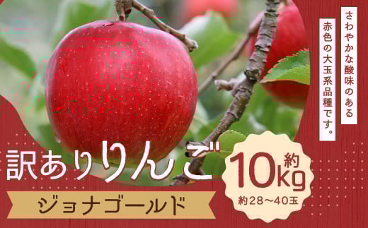 訳あり りんご （ジョナゴールド） 約10kg 【2025年10月下旬発送予定】／林檎 リンゴ 果物 くだもの フルーツ 産地直送 わけあり ワケアリ 家庭用  2297006 - 岩手県二戸市