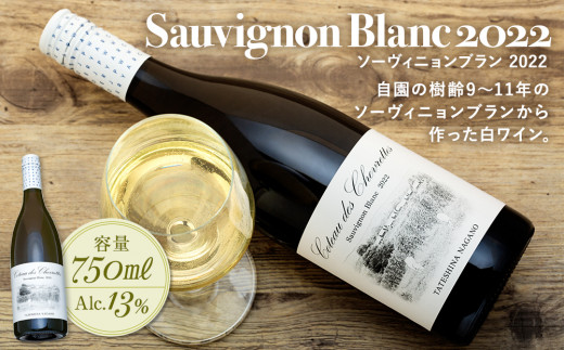 数量限定】 菅井農園の白ワイン BANQUET 750ml×1本とシャイン