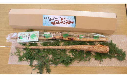 川内村高田島産 天空の「自然薯」（野生種） じねんじょ 山菜 健康食 1.5kg