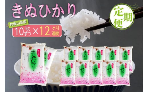 【お米の定期便／全12回】和歌山県産キヌヒカリ 120kg（2023年産) 1153859 - 和歌山県由良町