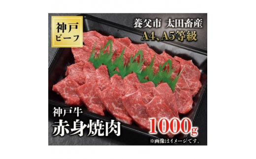 神戸牛　赤身焼肉　1000g【1441736】 1084720 - 兵庫県養父市