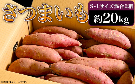 66-07 さつまいも 約20kg S～Lサイズ混合2箱 生芋 紅はるか 1151405 - 茨城県阿見町