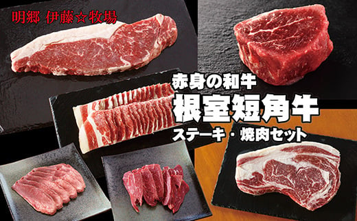 D-13003 【北海道根室産】短角牛ステーキ・焼肉6種セット 1153760 - 北海道根室市