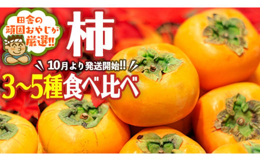 柿はこれだっぺセット[令和6年10月より発送開始]田舎の頑固おやじが厳選!