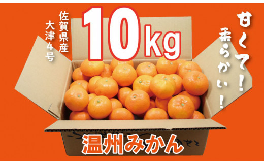 大好評!ご家庭用 大津みかん(10kg)コタツで甘いみかん!柑橘 温州