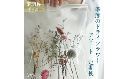 《定期便 6ヵ月》季節のドライフラワーアソートS スワッグ 花束 ドライフラワー【らんまん 花 植物 お花 アレンジメント 高知 人気 おすすめ 送料無料】 1155186 - 高知県高知市