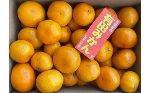 お願いします和歌山県産 有田みかん わけあり 10kg×6箱【小玉】ミカン フルーツ 柑橘