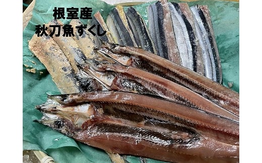 A-54009 【北海道根室産】貝付き牡蠣20個[2024年4月上旬以降発送