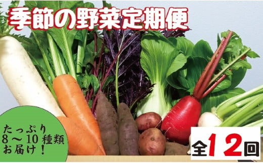 【野菜の定期便】こばやし季節の野菜詰め合わせセット　全12回 1153705 - 宮崎県小林市