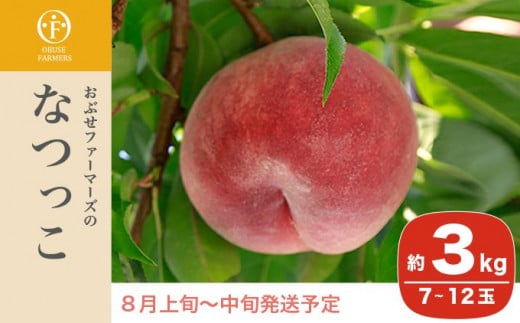 なつっこは長野県で育成された品種で、着色が良く糖度の高い品種です。産地を代表する桃です。