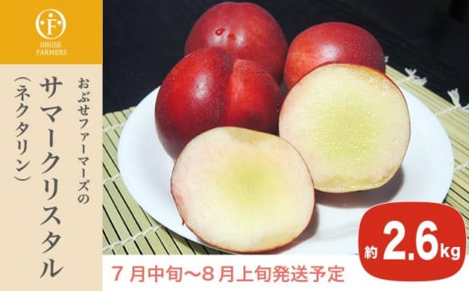 ネクタリンは、桃の仲間で皮ごと食べられ、桃よりも固いシャキシャキとした食感と、程よい甘酸っぱさが人気の果物です。