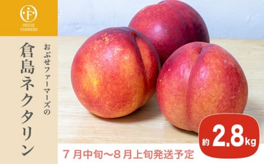 ネクタリンは、桃の仲間で皮ごと食べられ、桃よりも固いシャキシャキとした食感と、程よい甘酸っぱさが人気の果物です。