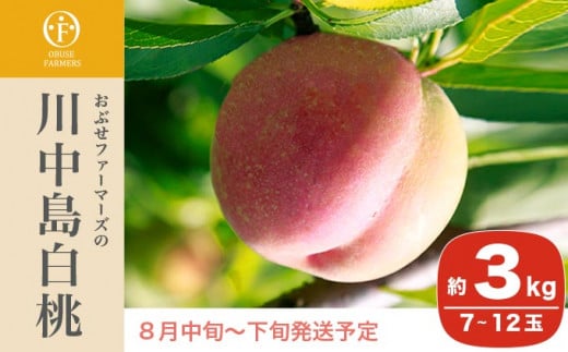 川中島白桃は長野県を代表する桃です。大玉で糖度も高く日持ちが良い品種です。