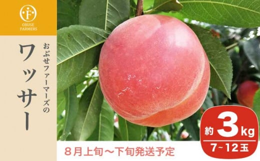 ワッサーは、桃とネクタリンの交配種で桃の甘みとネクタリンの酸味を程よく持ち合わせていて果汁も豊富なフルーツです。