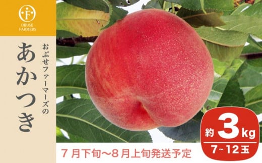 あかつきは桃が本格的になる7月下旬に収穫できる産地を代表する桃です。果汁も多く食味良好で桃の品種の中でも多く栽培されています。