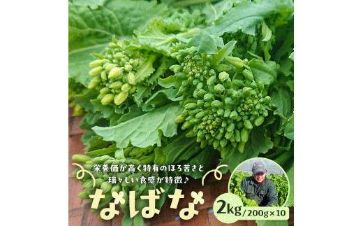 菜の花/ナバナ 2kg mi0039-0018