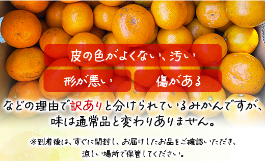 高橋農園【訳あり】山北みかん 露地(Ｓ～Ｍ)Ｂ品 10kg - 果物 フルーツ