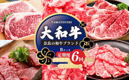 【定期便6回】大和牛 お肉の定期便 B 1156991 - 奈良県五條市