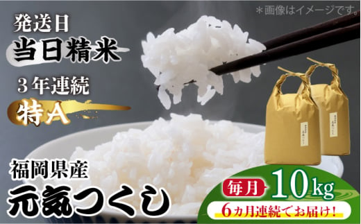 【先行予約】【全6回定期便】福岡県産【特A】評価のお米「元気つくし」5kg×2袋 [10kg] [白米]【2024年11月下旬以降順次発送】《築上町》【株式会社ベネフィス】 [ABDF116] 精米 米 ご飯 ごはん こめ コメ 158000円 15万8千円 1156818 - 福岡県築上町