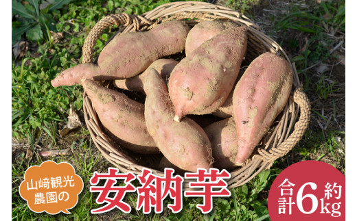 山﨑観光農園の安納芋 約6kg