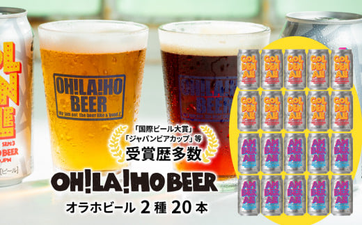ゴールデンエール＆アンバーエール20本セット クラフトビール 飲み比べ 426469 - 長野県東御市