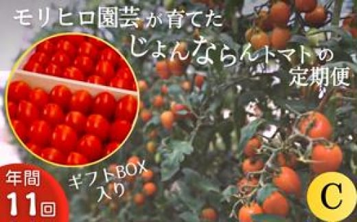 モリヒロ園芸が育てたじょんならんトマトの定期便C ギフトボックス入り（年間11回） 1158651 - 香川県宇多津町
