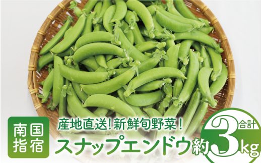 2025年2月中旬頃～発送【産地直送！新鮮旬野菜！】ご家庭用スナップエンドウ約3kg(指宿促成青果/A-415) スナップ エンドウ 野菜 旬 旬野菜 春 サラダ 天ぷら 炒め物 新鮮 指宿 鹿児島 いぶすき 542526 - 鹿児島県指宿市