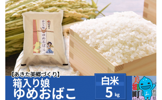 令和5年産 秋田県産 特別栽培米「箱入り娘 ゆめおばこ」5kg×1袋