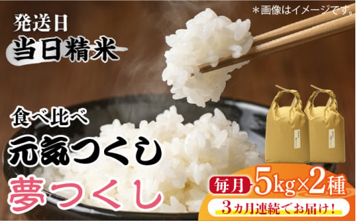 【先行予約】【全3回定期便】福岡県産【特A米】元気つくし【A米】夢つくしの食べ比べ 各5kg×2袋 [10kg] [白米]【2024年11月下旬以降順次発送】《築上町》【株式会社ベネフィス】 [ABDF124] 精米 米 ご飯 ごはん こめ コメ 79000円 7万9千円 1156826 - 福岡県築上町