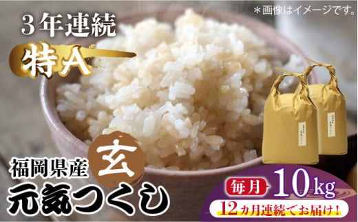 【先行予約】【全12回定期便】福岡県産【特A】評価のお米「元気つくし」5kg×2袋 [10kg] [玄米]【2024年11月下旬以降順次発送】《築上町》【株式会社ベネフィス】 [ABDF120] ご飯 ごはん 米 こめ コメ おにぎり 315000円 31万5千円 1156822 - 福岡県築上町