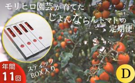 モリヒロ園芸が育てたじょんならんトマトの定期便D スティックボックス入り（年間11回） 1158652 - 香川県宇多津町