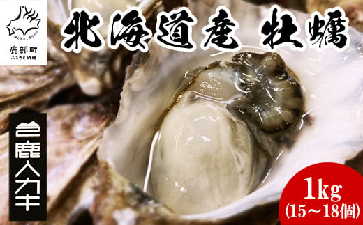 【北海道産】牡蠣 殻付き 1kg (15～18個) 生食 シングルシード 1203065 - 北海道鹿部町