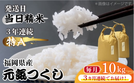 【先行予約】【全3回定期便】福岡県産【特A】評価のお米「元気つくし」5kg×2袋 [10kg] [白米]【2024年11月下旬以降順次発送】《築上町》【株式会社ベネフィス】 [ABDF115] 精米 米 ご飯 ごはん こめ コメ 79000円 7万9千円 1156817 - 福岡県築上町