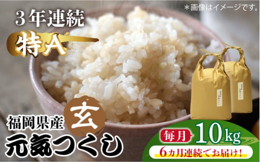 【先行予約】【全6回定期便】福岡県産【特A】評価のお米「元気つくし」5kg×2袋 [10kg] [玄米]【2024年11月下旬以降順次発送】《築上町》【株式会社ベネフィス】 [ABDF119] ご飯 ごはん 米 こめ コメ おにぎり 158000円 15万8千円 1156821 - 福岡県築上町