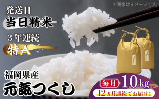 【先行予約】【全12回定期便】福岡県産【特A】評価のお米「元気つくし」5kg×2袋 [10kg] [白米]【2024年11月下旬以降順次発送】《築上町》【株式会社ベネフィス】 [ABDF117] 精米 米 ご飯 ごはん こめ コメ 315000円 31万5千円 1156819 - 福岡県築上町