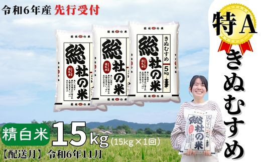 【令和6年産米】特Aきぬむすめ【精白米】15kg 岡山県総社市産〔令和6年11月配送〕24-015-003